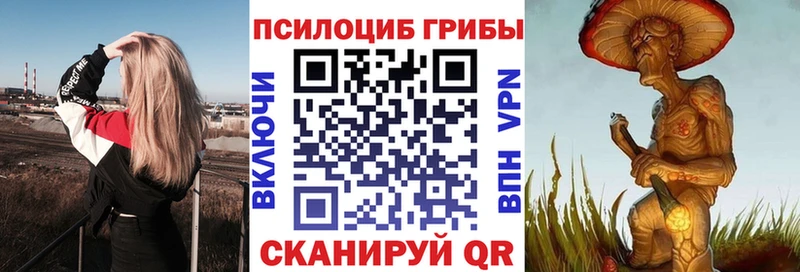 Псилоцибиновые грибы прущие грибы  Кострома 