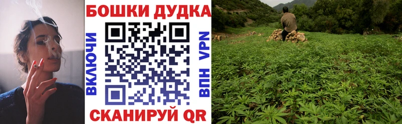 даркнет сайт  Кострома  Каннабис индика 